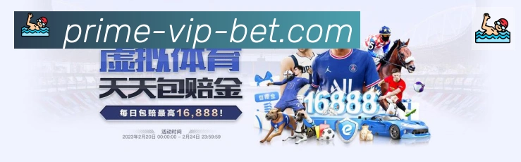 奖项证书